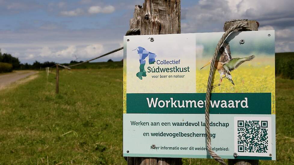 In Nederland, en dus ook in Friesland, zijn veel agrarische collectieven actief die zich bezighouden met het ANLb.