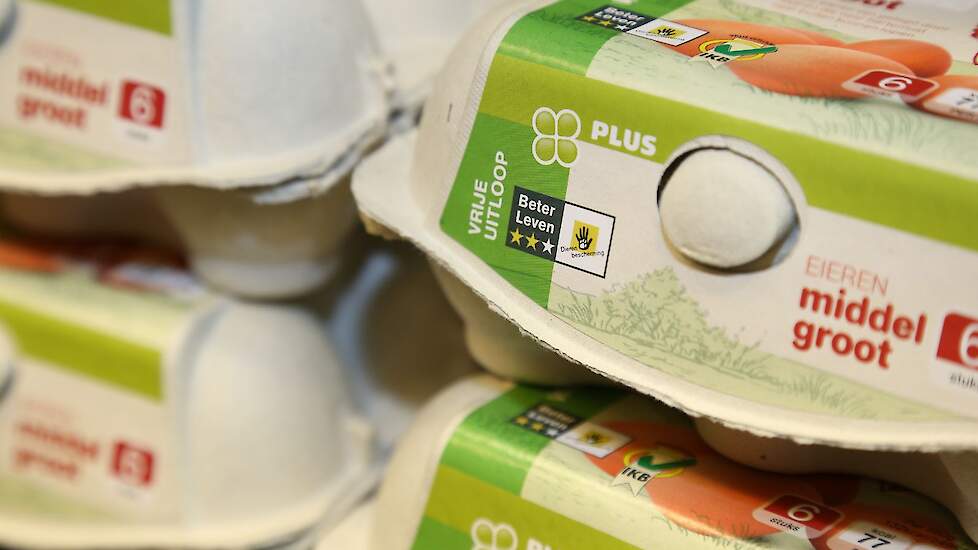 paniek Nationaal volkslied Toevlucht ABN Amro: 'Forse prijsstijging pluimveevlees en eieren in supermarkt' |  Pluimveeweb.nl - Nieuws voor pluimveehouders