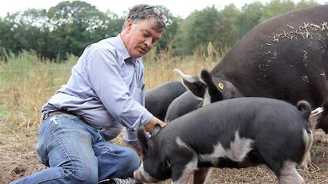 Dierenarts en varkenshouder Kees Scheepens gaat de Pigster stal op zijn locatie bouwen