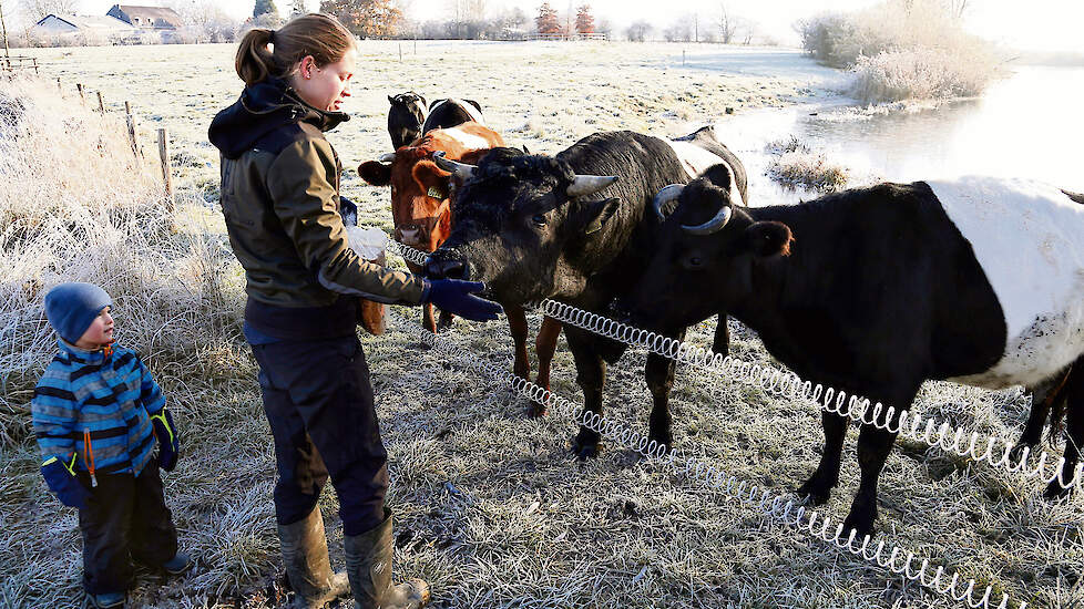 Martine Bisschop bij het laatste groepje Lakenvelders dat half december nog buiten in de weide staat.