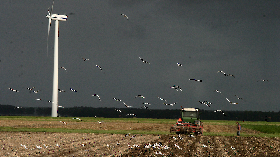 Cultivator aardappelland in Dronten