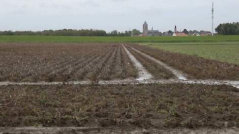 Agrarisch gebied in westen van Noord-Brabant