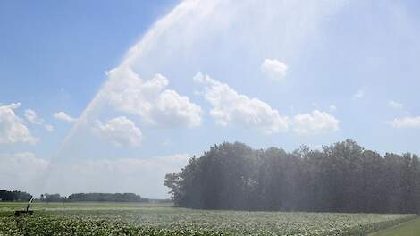 Beregenen van aardappelveld