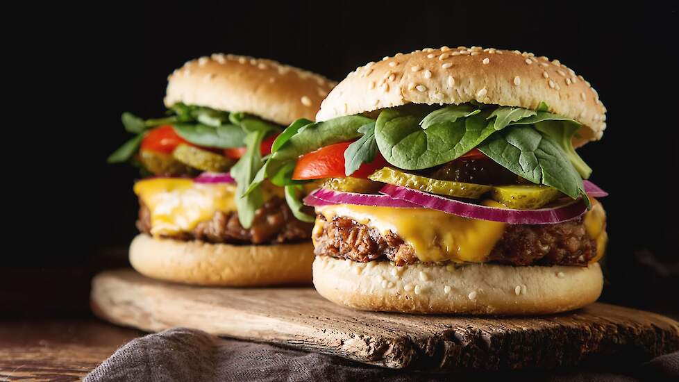 Foto van broodje plantburger met onder andere ui, tomaat en komkommer