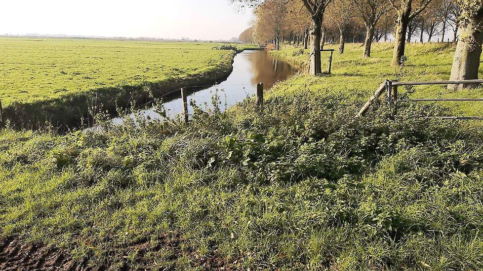 Land Van Ons Koopt 40 Ha Landbouwgrond In Hoeksche Waard En Zeeland |  Stal-En-Akker.Nl - Landbouwnieuws Voor Zuid-Nederland