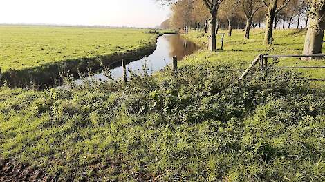 De aangekochte grond in Strijen, in de Hoeksche Waard.