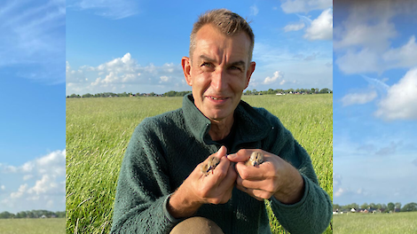 Eddie van Marum is 54 jaar en ruim 35 jaar actief in weidevogelbeheer in diverse functies. Van weidevogelcoördinator en veldmedewerker tot vrijwilliger. Actief als vanger in een steemarterpilot en kandidaat voor de Provinciale Staten van Groningen voor Bo