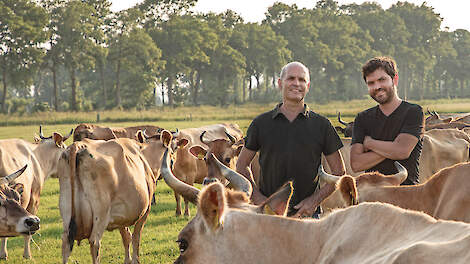 Jan Dirk en Peter van der Voort tussen hun koeien in Lunteren