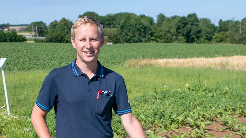 Michiel Hubau, crop advisor akkerbouw BASF België