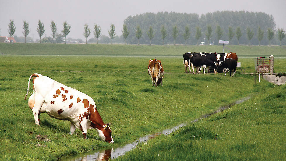 De breedte van een bufferstrook is afhankelijk van het type waterloop waar deze aan grenst. Er zijn vier soorten waterlopen.