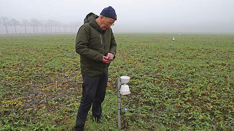Jan Drenth op een perceel waar klei is toegevoegd en waar sensoren de bodemvochtcondities monitoren. De bladrammenas overleefde de winter en zal in maart ingewerkt moeten worden.