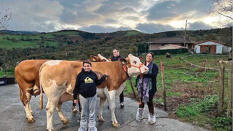 Ö Ernesto Zulueta, Sandra Aras en hun zoon Egoitz bij twee van hun aangekochte Fleckvieh-koeien uit Oostenrijk.