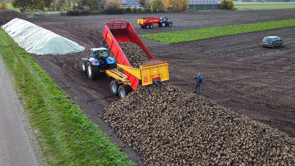 De hopen worden aangelegd voor de bewaarproef bij Dedemsvaart.