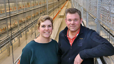 Wilco (41) en zijn vrouw Ilse (37) Wijlhuizen bouwden een nieuwe stal voor 59.900 opfokhennen. Ze kozen voor een volière-opfoksysteem van Big Dutchman.