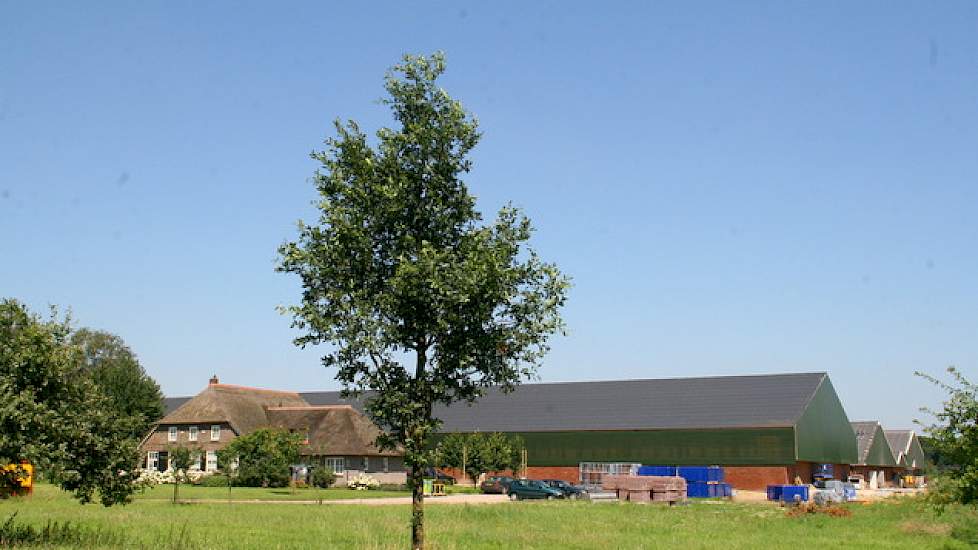 Het nieuwe stallencomplex van John Wichers Schreur, dat van binnen wordt afgebouwd.