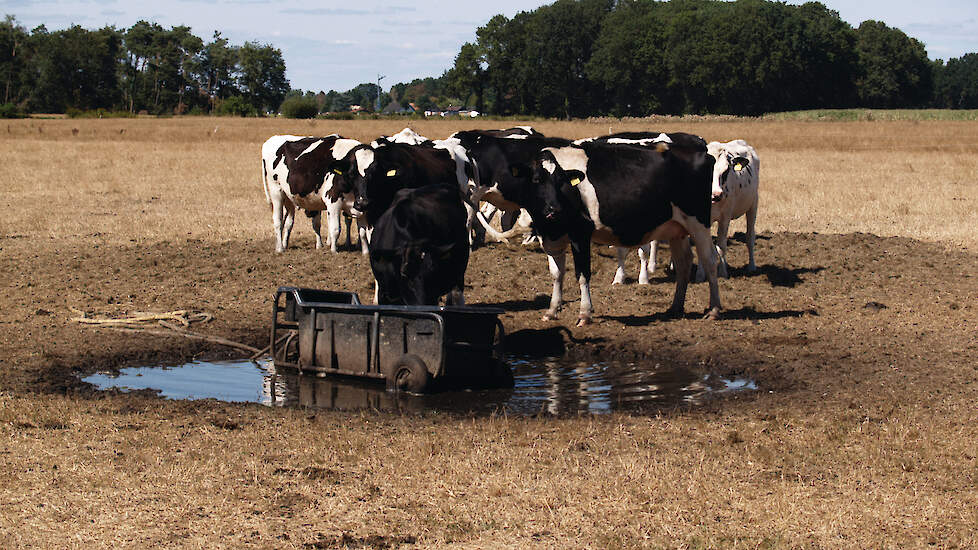 De zomer van 2018 is de boeken ingegaan als een van de droogste jaren in Nederland. Met name op de hoge zandgronden was de situatie schrijnend voor boeren.