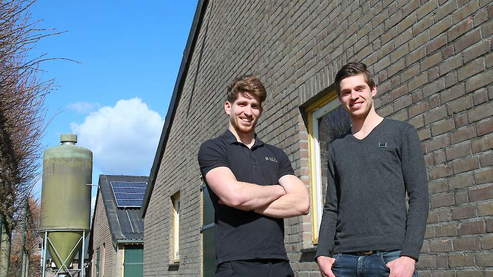 Ruud Smits (rechts) runt samen met zijn broer Roel een vleeskuikenouderdierenbedrijf in Someren-Eind (NB).