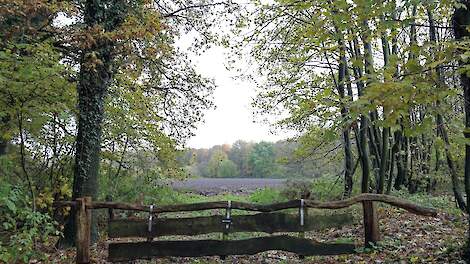 Een willekeurig Natura 2000-gebied.