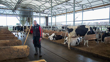 De koeien van Werner Melissen liggen niet meer op stro, maar op dubbel gescheiden dikke mest.