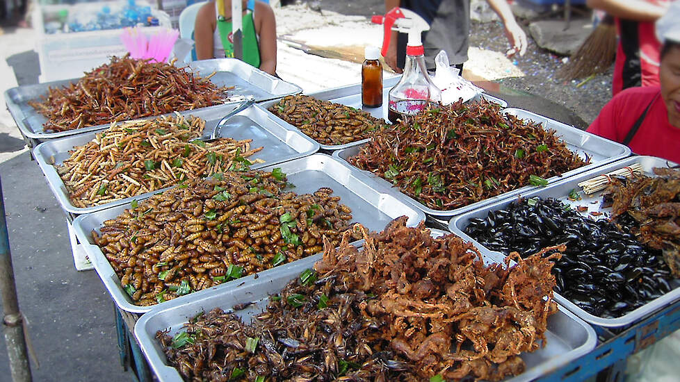 Gefrituurde insecten op een markt in Bangkok