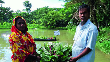 Vers geoogste groenten van floating gardens in Bangladesh.