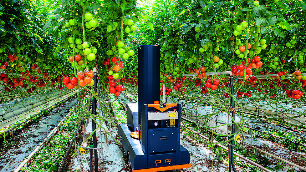 De Plantalyzer bekijkt aan welke tros de tomaten zitten en hoe de afrijping is verdeeld.