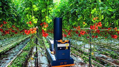 De Plantalyzer bekijkt aan welke tros de tomaten zitten en hoe de afrijping is verdeeld.