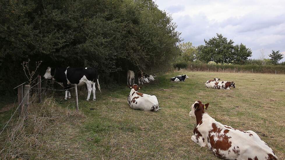 Natuurinclusieve landbouw in de praktijk.