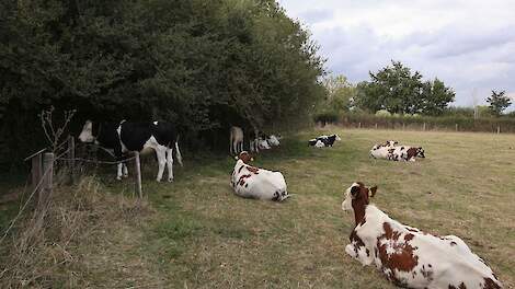 Natuurinclusieve landbouw in de praktijk.