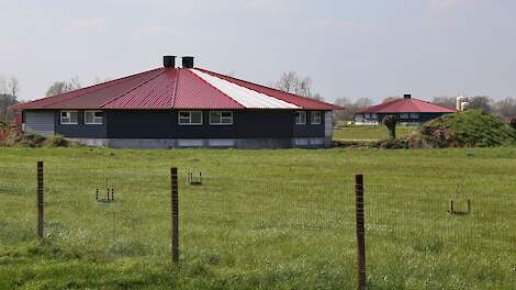 De eerste ronde stal voor biologische vleeskuikens bij KemperLand is in augustus vorig jaar in gebruik genomen. De overige stallen zijn nog in aanbouw.