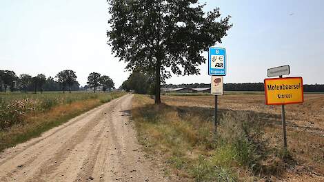 Belgisch Agrarisch landschap in Kinrooi