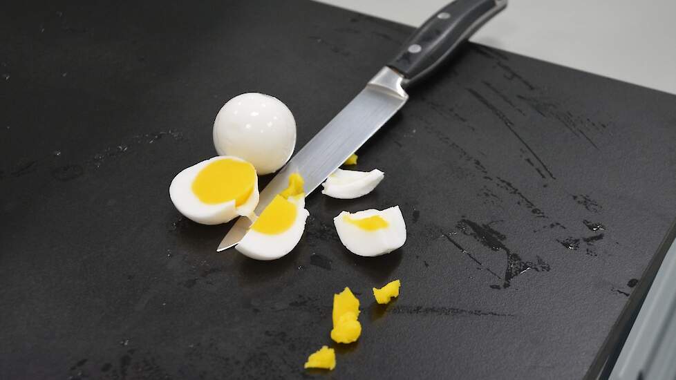 Een 100 procent plantaardig ei, niet of nauwelijks te onderscheiden van een een echt gekookt en gepeld ei.