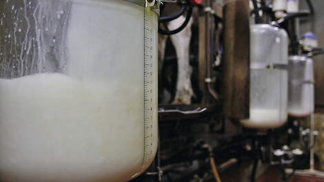 Deelname aan MTC kostte de deelnemers 1,58 cent per kilo vastgezette melk in 2021. In 2022 liep dat verschil op tot circa 14 cent per kilo melk.