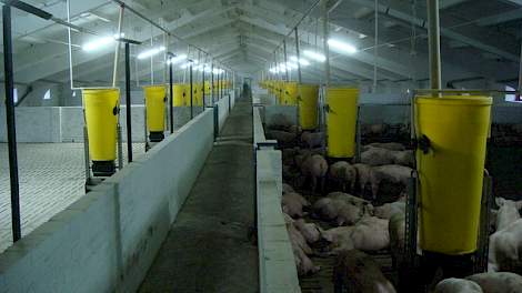 Deze 120 meter lange voormalige Sovjet koeienstal is omgebouwd tot vleesvarkensbedrijf.