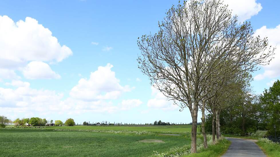 Subsidie landschapselementen in Veld-post.nl Landbouwnieuws voor Noord-Nederland