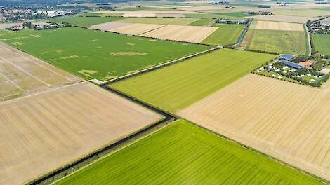 Akkerbouw is belangrijk op Schouwen-Duiveland: Zo’n 70 procent van de grond in de gemeente is in gebruik bij boeren.