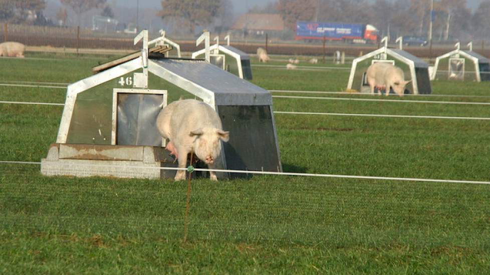 Jan Leeijen van biologische slachterij De Groene Weg zegt dat voor nieuwkomers de mogelijkheden beperkt zijn.