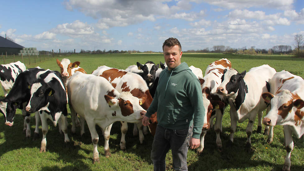 De kalveren van Jacob van Emst verblijven nu nog enkele weken in deze bekende iglo’s. Dat wordt straks 16 tot 20 maanden in een nieuwe stal, met veel aandacht voor dierenwelzijn.