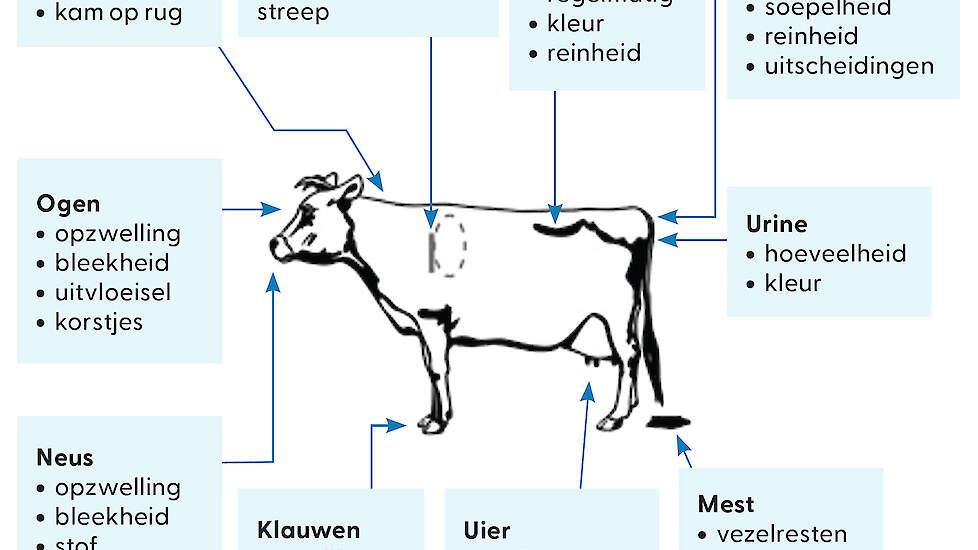 Figuur 1. De 10 waarnemingsplaatsen van de Obsalim methode, met daaronder enkele belangrijke symptomen. Voor een interpretatie moeten minimaal symptomen worden geobserveerd op drie verschillende waarnemingsplaatsen, die op een aantal uitzonderingen na elk