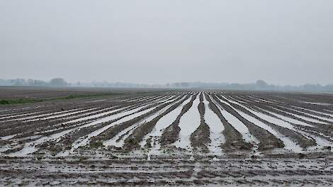 Wateroverlast in Noord-Groningen.