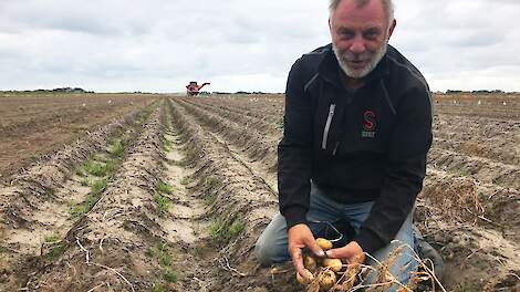 Aardappelteler Henk Broekmans op Texel.