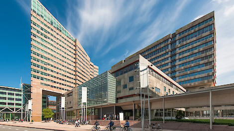 De rechtbank in Den Haag.