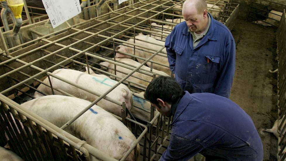 De cao Dierhouderij staat bekend om een redelijk loonniveau.