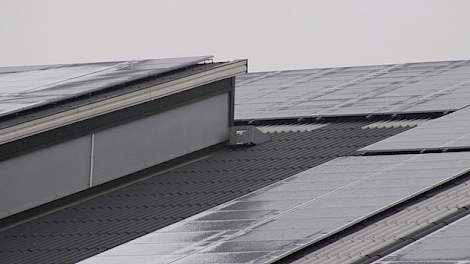 Een dak vol zonnecollectoren.