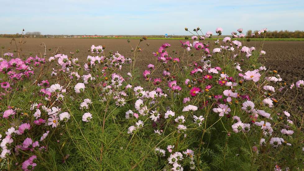 Over de vergoeding voor agrarisch natuurbeheer wordt nog doorgesproken.