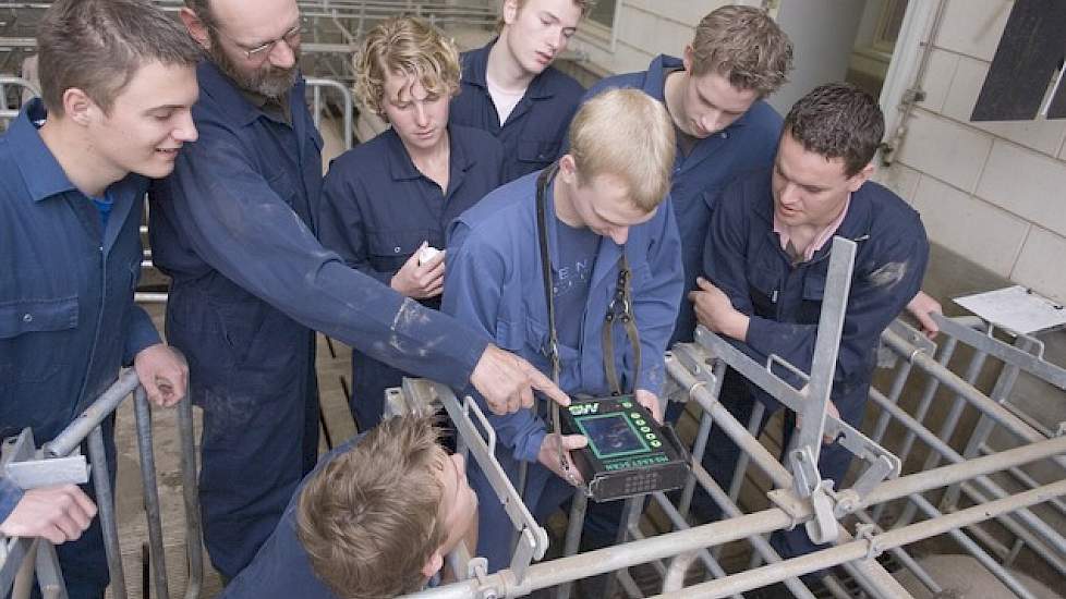 Varkensonderwijs in de praktijk.