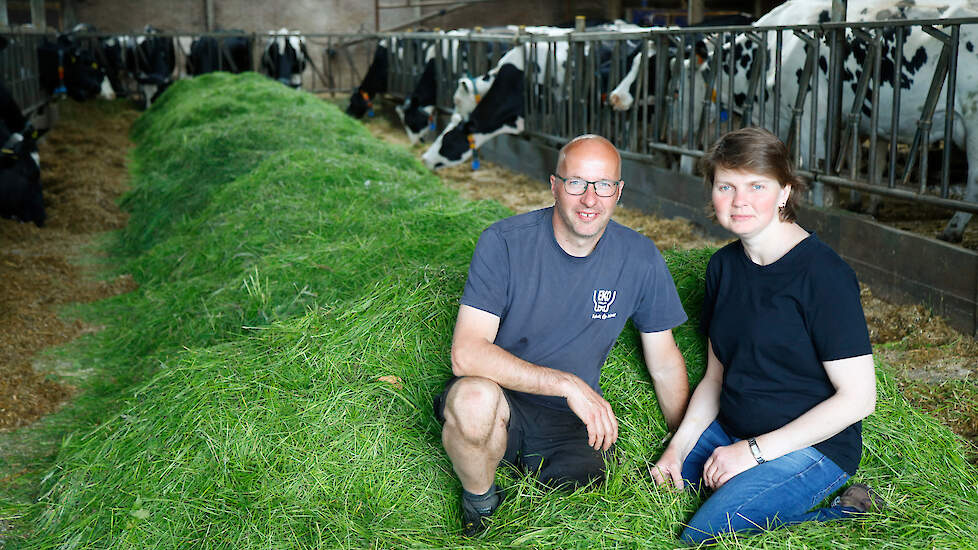 Veel vers gras voeren is een van de troeven van de familie Muggen om een goed saldo te draaien.