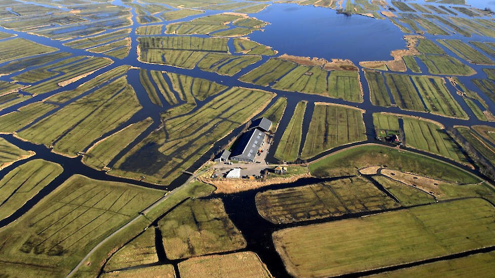 Een boerderij in de polder Laag Holland.