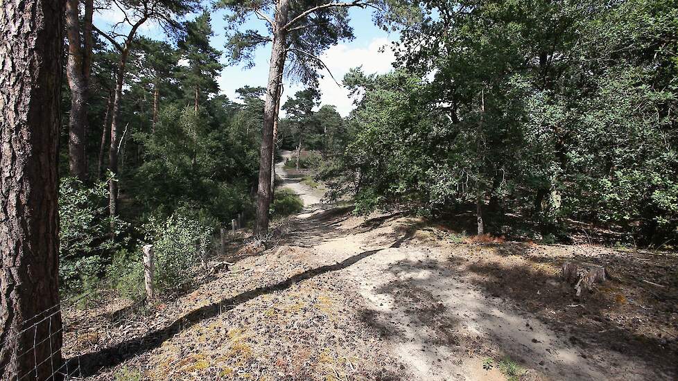 Een Limburgs Natura 2000-gebied.