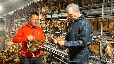 Simon Biedboeuf van Siplum samen met legpluimveespecialist Martin arts in overleg in een van de stallen met rijenvolière.